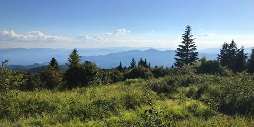 Views in summer Views in summer