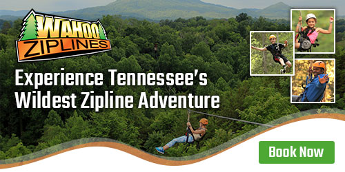 Wahoo Ziplines: Click to visit website. Wahoo Ziplines
